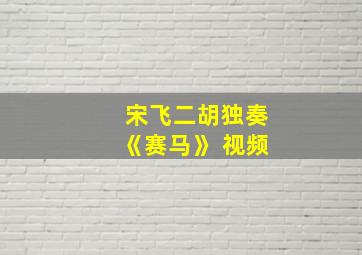 宋飞二胡独奏《赛马》 视频